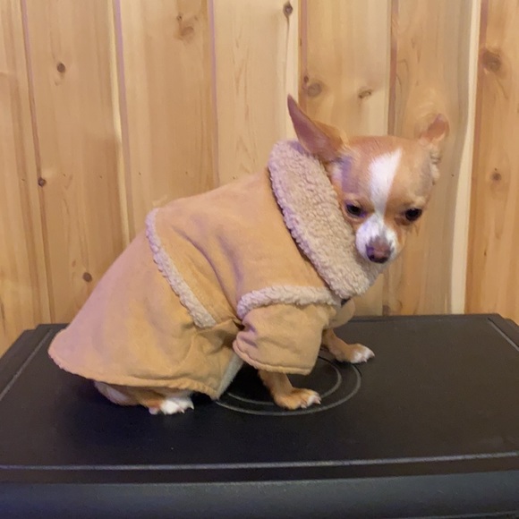 Micro Suede Velcro Dog Coat 